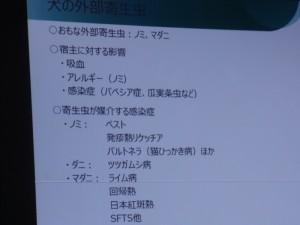 Exif_JPEG_PICTURE